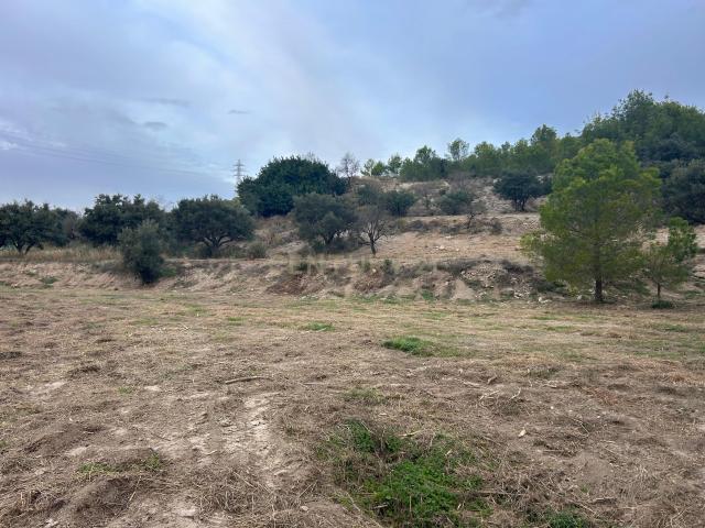 Terreno en la zona de la Rijana Los Palmares Molvízar