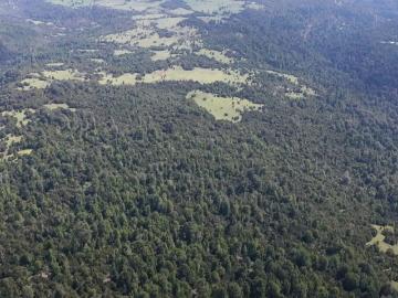 Terreno en Lago Ranco