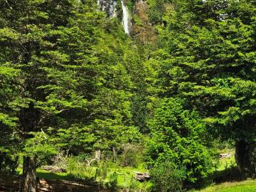 Terreno en Lago Verde