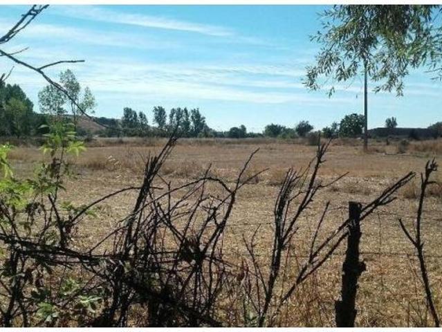 TERRENO EN LEON