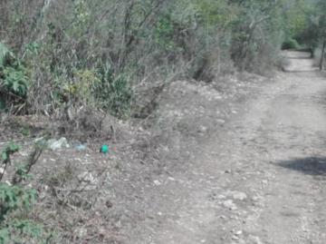 Terreno en Llera Tamaulipas