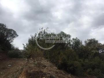 Terreno en Lo Barnechea