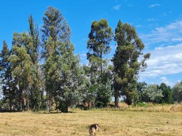 Terreno en Los Ángeles