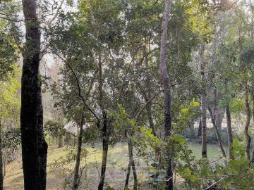 Terreno en Pucón