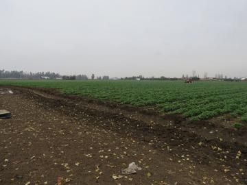 Terreno en Pudahuel