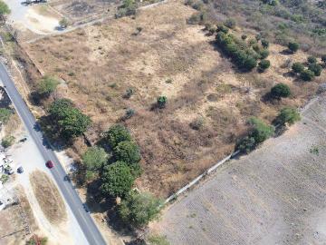 Terreno en Pueblo Alpuyeca