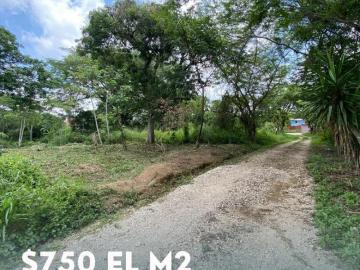 Terreno en Pueblo La Estanzuela
