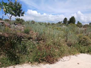 Terreno en Pueblo Santa M?nica