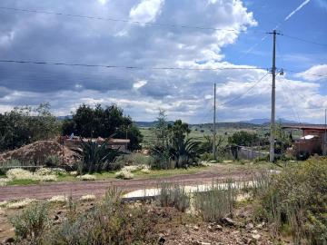 Terreno en Pueblo Santa M?nica