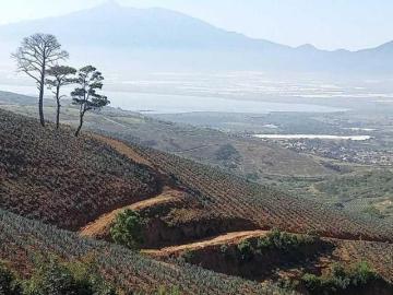 Terreno en Pueblo San Sebastián del Sur