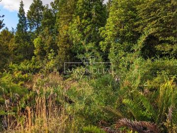 Terreno en Puerto Varas