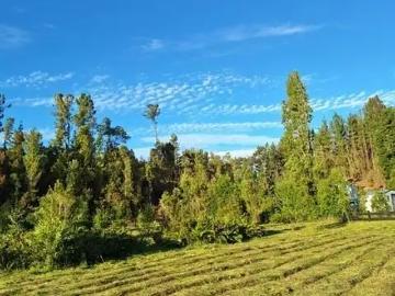Terreno en Puerto Varas