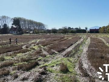 Terreno en Puerto Varas