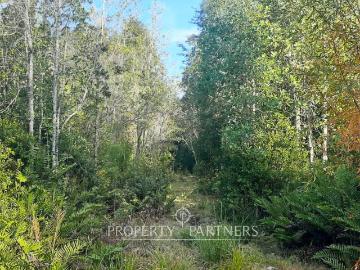 Terreno en Panguipulli