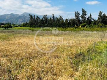 Terreno en Panquehue