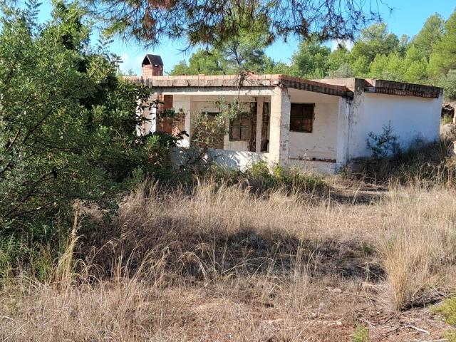 Terreno en Pedrissetes, Alcora Rustico de 13.005 Metros