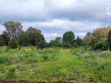 Terreno en Pemuco