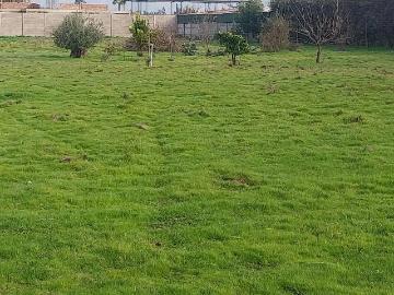 Terreno en Peñaflor