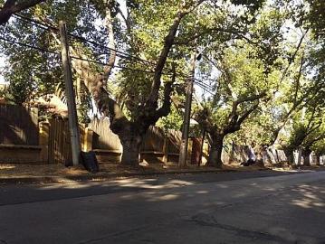 Terreno en Peñaflor
