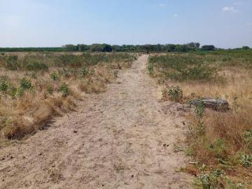 TERRENO EN PIURA, 4.40 Ha, Carretera Sullana Tambo Grande