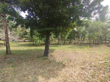Terreno en Playa Villa Rica, actopan, Veracruz
