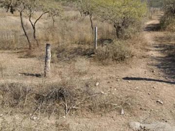 TERRENO EN POZO DEL CARMEN