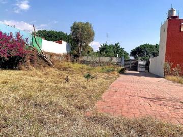 TERRENO EN PRIV. DE SOLO 5 LOTES, A 2 MIN DE AV. DIANA ZONA DORADA