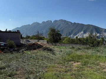 Terreno en privada palo blanco