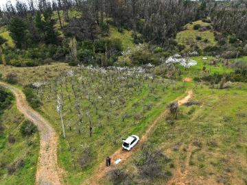 Terreno en Quillón
