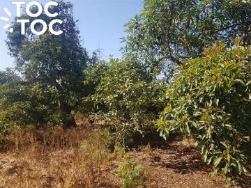Terreno en Quillota