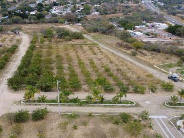 Terreno en Rancho o rancheria La CalIXtina
