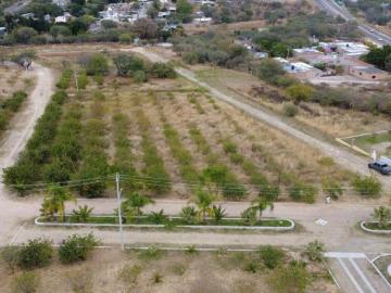Terreno en Rancho o rancheria La CalIXtina