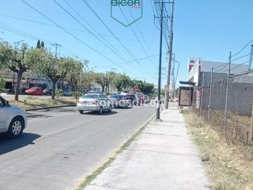 Terreno en Renta Municipio Libre