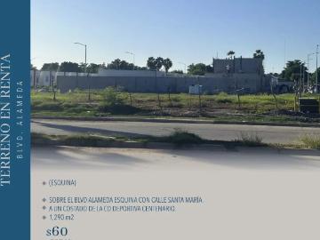 TERRENO EN RENTA BOULEVARD ALAMEDA