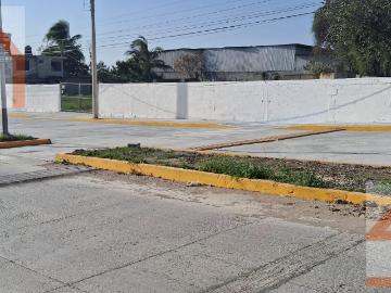 Terreno en Renta Col. Alejandro Briones sobre carretera, frente al Chocolate