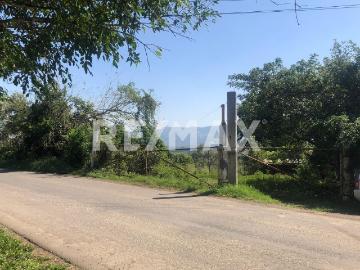 Terreno en Renta, comunidad de Ursulo Galvan, Tihuatlán, Ver