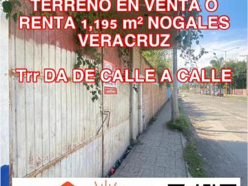 Terreno en renta en Nogales Centro, Nogales, Veracruz de Ignacio de la Llave