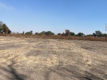 TERRENO EN RENTA EN ARROYO HONDO LEON GTO ZONA INDUSTRIAL