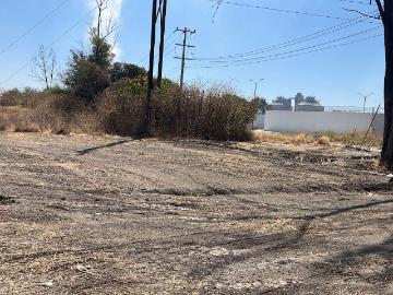 TERRENO EN RENTA EN ARROYO HONDO LEON GTO ZONA INDUSTRIAL