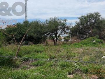 Terreno en Renta en Campestre Santa Cruz, Le?n Gto