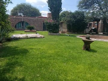 TERRENO EN RENTA EN COL EL CARRIZO, SJR, QRO VT60