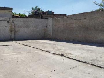 Terreno en Renta en Esteban Alatorre