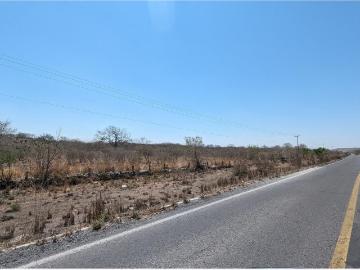 Terreno en renta en Juluapan, Villa de Álvarez, Colima