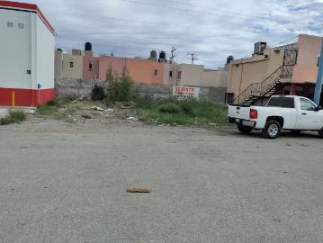 Terreno en renta en La Dalia Oriente, Torreón, Coahuila de Zaragoza