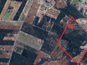 Terreno en Renta en Prol. Ruiz Cortines, Juárez Nuevo León