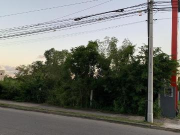 Terreno en renta ubicado sobre avenida colonia caucel
