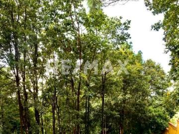 TERRENO EN RESIDENCIAL MAR DE NUBES