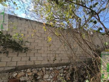 Terreno en San Arturo