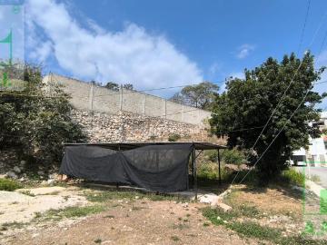 Terreno en San Arturo