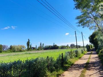 Terreno en San Carlos